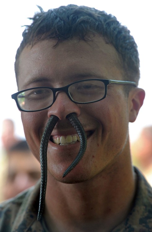 Quân nhân uống tiết rắn tại tập trận Hổ Mang Vàng - ảnh 4