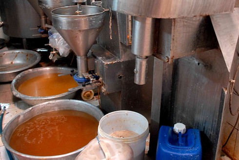 Cơ sở vi phạm an toàn thực phẩm: Cơ quan quản lý thừa nhận khó kiểm soát - ảnh 1