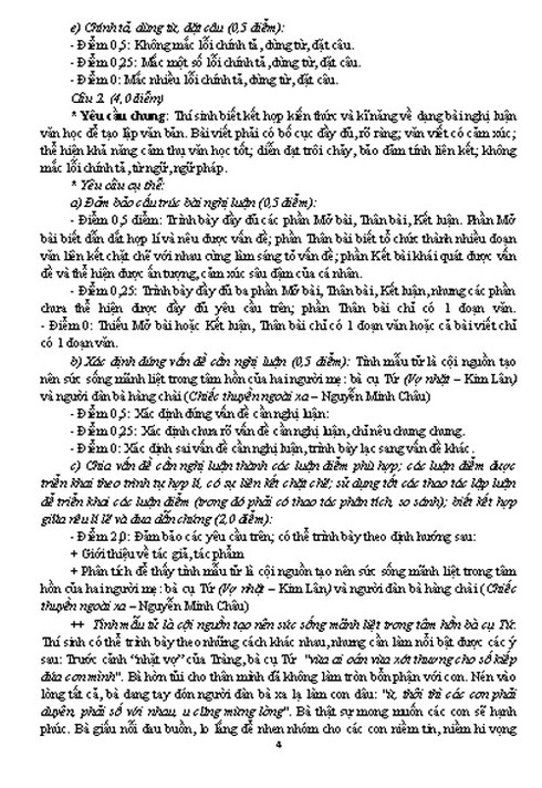 TPHCM: Đề thi thử và đáp án môn Ngữ văn - ảnh 7