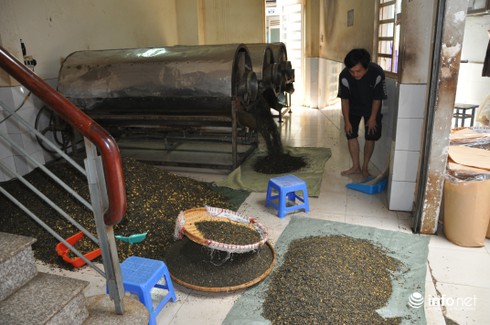 Kinh hoàng công nghệ sản xuất trà tẩm ướp hóa chất - ảnh 1