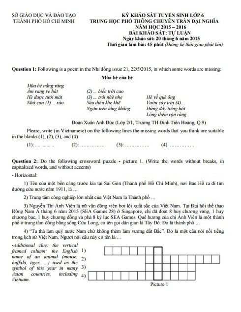 Đáp án bài khảo sát lớp 6 Trường THPT Trần Đại Nghĩa - ảnh 6