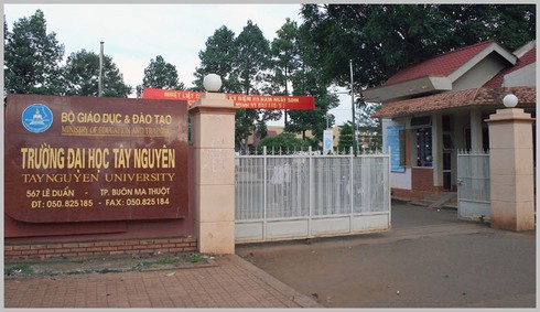 1041 sinh viên ĐH Tây Nguyên bị buộc thôi học: Động thái dũng cảm! - ảnh 1