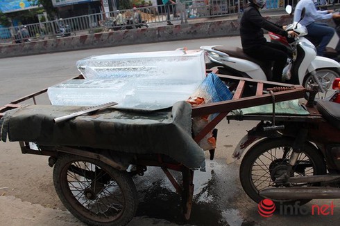 TP.HCM: 432 cơ sở sản xuất, kinh doanh nước đá “bẩn” - ảnh 1