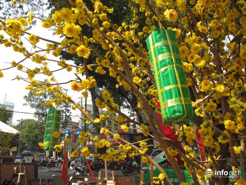 Sum vầy, yêu thương, có cảm giác được