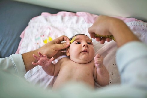 Virus Zika đã bùng phát là không thể ngăn chặn - ảnh 1