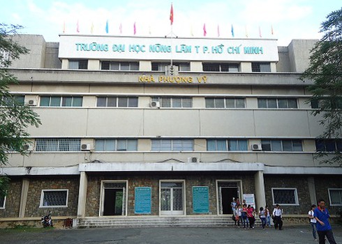 Gần 1.000 sinh viên ĐH Nông lâm TP.HCM bị buộc thôi học - ảnh 1