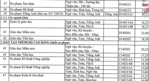 Điểm chuẩn năm 2016 của ĐH Sư phạm TP.HCM, ĐH Sài Gòn - ảnh 6