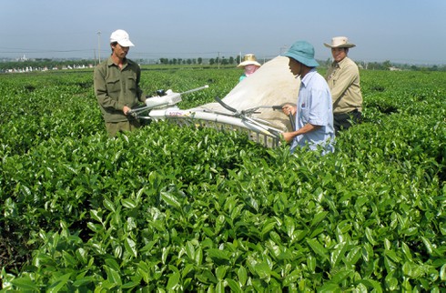 Đơn Dương phủ kín đường truyền internet băng thông rộng cho các thôn - ảnh 1