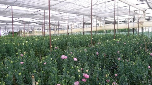 Xã Liên Hiệp tăng cường tuyên truyền xây dựng nông thôn mới - ảnh 1