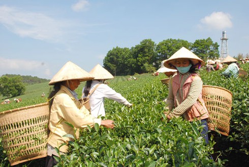Gia Viễn chú trọng đầu tư bưu điện xã - ảnh 1