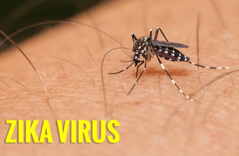 TP.HCM đã có 46 ca nhiễm Zika - ảnh 1