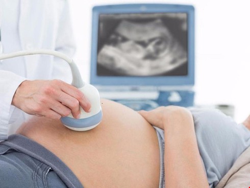 TP.HCM: Zika đã xuất hiện ở 17 quận huyện, 69 ca nhiễm bệnh - ảnh 1