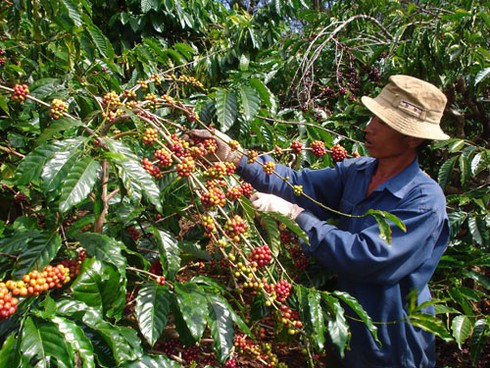 Đảng bộ xã Đăk Mar nỗ lực đưa Nghị quyết Đảng vào cuộc sống - ảnh 1