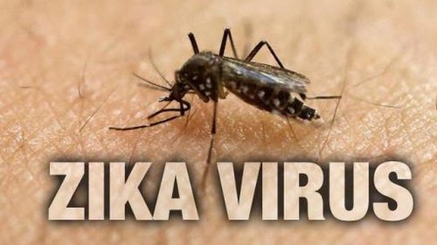 Đồng Nai: Phát hiện ca nhiễm Zika thứ 7 - ảnh 1