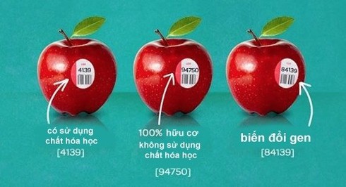 Cách nhận biết thực phẩm biến đổi gene GMO - ảnh 1