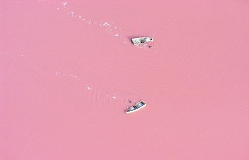 20 bức ảnh đẹp “mê hồn” không sử dụng photoshop - ảnh 20