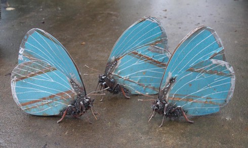 Ngắm những con vật tuyệt đẹp làm từ mảnh ghép phế liệu - ảnh 13