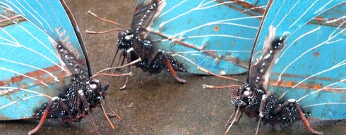 Ngắm những con vật tuyệt đẹp làm từ mảnh ghép phế liệu - ảnh 14