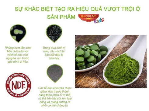 Loại trừ chất độc: điều trị rối loạn thể chất, tâm lý ở trẻ - ảnh 3
