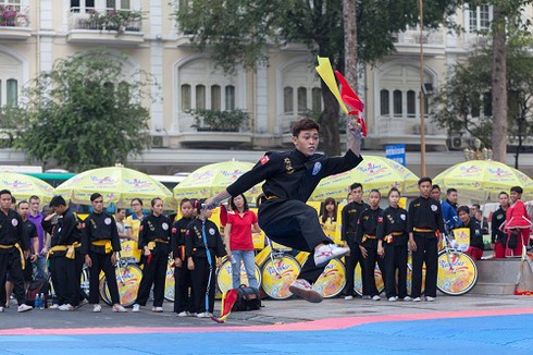 Tân Hiệp Phát đồng hành cùng võ cổ truyền Việt Nam - ảnh 2