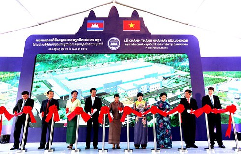 Giấc mơ toàn cầu hóa thương hiệu của Vinamilk - ảnh 2