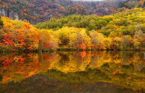 Những điểm đến lý tưởng để tận hưởng mùa thu Châu Á - ảnh 3