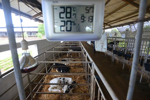 28 chuyến bay đặc biệt của Vinamilk - ảnh 8