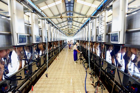 28 chuyến bay đặc biệt của Vinamilk - ảnh 10