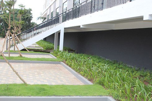 First home Thạnh Lộc, giấc mơ an cư đã thành hiện thực - ảnh 2