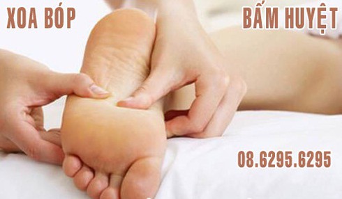 Thầy thuốc Đông Y phải có bằng cấp chuyên môn mới được hành nghề - ảnh 3