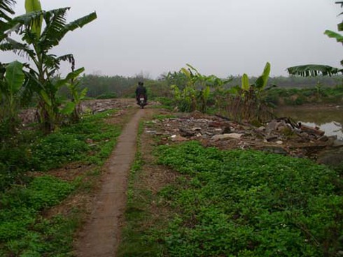 Vụ Tiên Lãng: Tạm đình chỉ sai nhưng không có lỗi? - ảnh 1