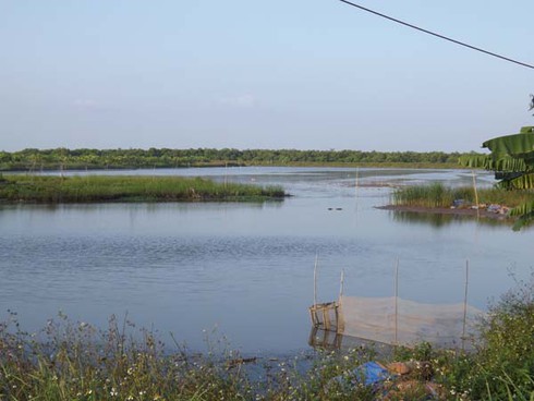 UBND huyện Tiên Lãng không thể cho ông Vươn thuê đất - ảnh 1