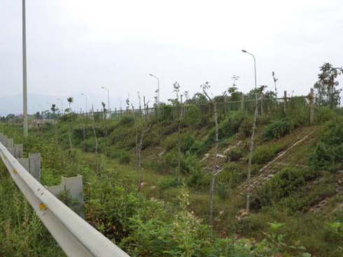 Đại lộ Thăng Long: Hàng tỷ đồng ‘hóa’... củi - ảnh 3