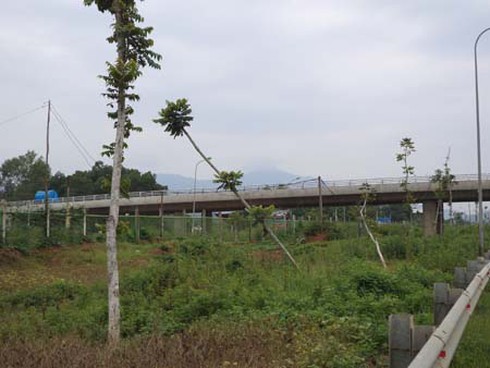 Đại lộ Thăng Long: Hàng tỷ đồng ‘hóa’... củi - ảnh 7