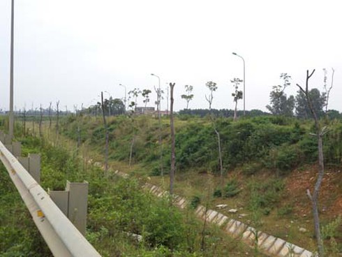 Đại lộ Thăng Long: Hàng tỷ đồng ‘hóa’... củi - ảnh 1