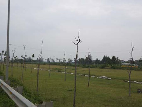 Đại lộ Thăng Long: Hàng tỷ đồng ‘hóa’... củi - ảnh 2