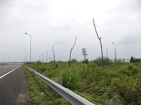 Đại lộ Thăng Long: Hàng tỷ đồng ‘hóa’... củi - ảnh 5