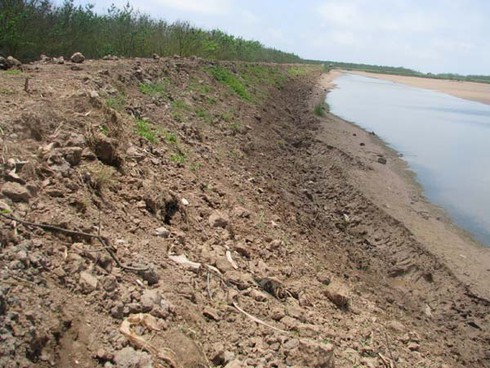 Ông Đoàn Văn Vươn “đánh bạc với giời” (kỳ 2) - ảnh 1