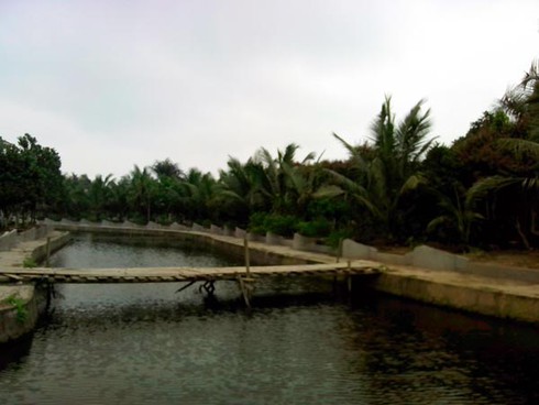 “Mẫu” The vốn là diễn viên chèo ở xã - ảnh 3