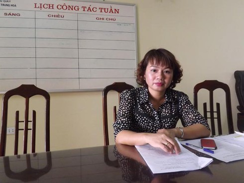 Xử phạt hành vi bạo lực gia đình: Khó khả thi! - ảnh 1