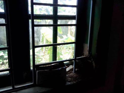 Hà Nội: Xây trường cho... mối xông - ảnh 1