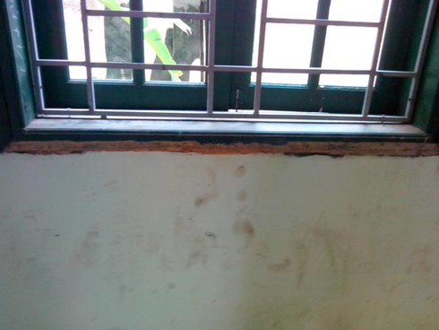 Hà Nội: Xây trường cho... mối xông - ảnh 4