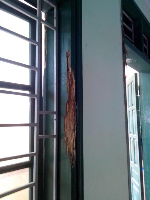 Hà Nội: Xây trường cho... mối xông - ảnh 3