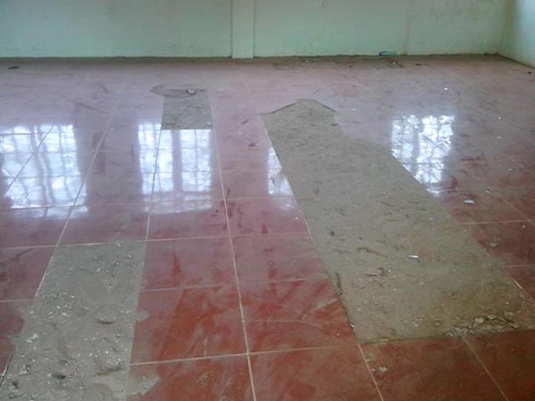 Hà Nội: Xây trường cho... mối xông - ảnh 5