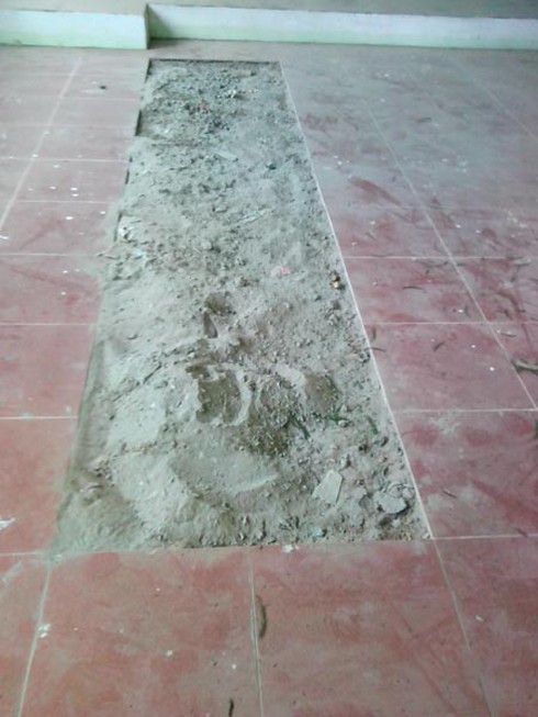 Hà Nội: Xây trường cho... mối xông - ảnh 6