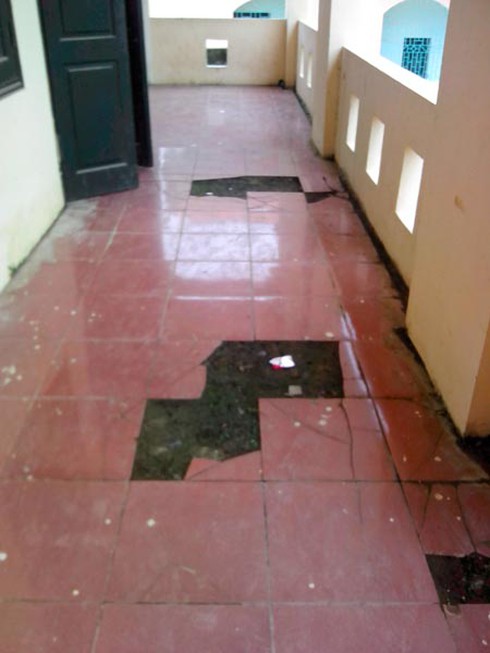 Hà Nội: Xây trường cho... mối xông - ảnh 7