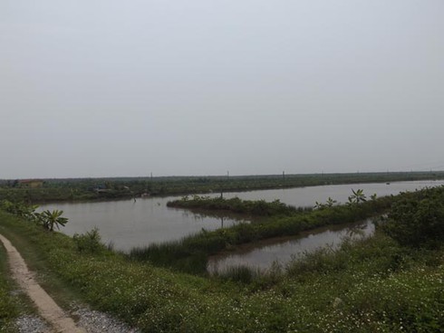 Xét xử lại vụ án hành chính thu hồi đất ông Vươn vào ngày 30/9 - ảnh 1