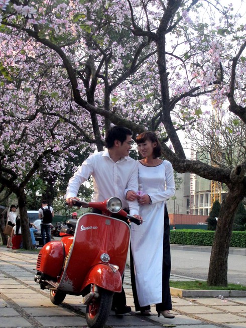 Giới trẻ háo hức với “con đường hoa ban” - ảnh 7
