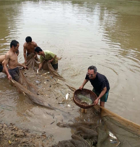 Phú Thọ thoát nghèo nhờ đào tạo nghề cho lao động - ảnh 1