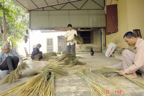 Chổi chít mang lại thu nhập cao - ảnh 1